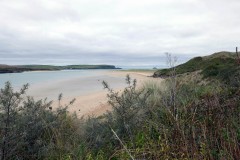 Camel-estuary-copy